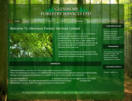 myit web design graphics