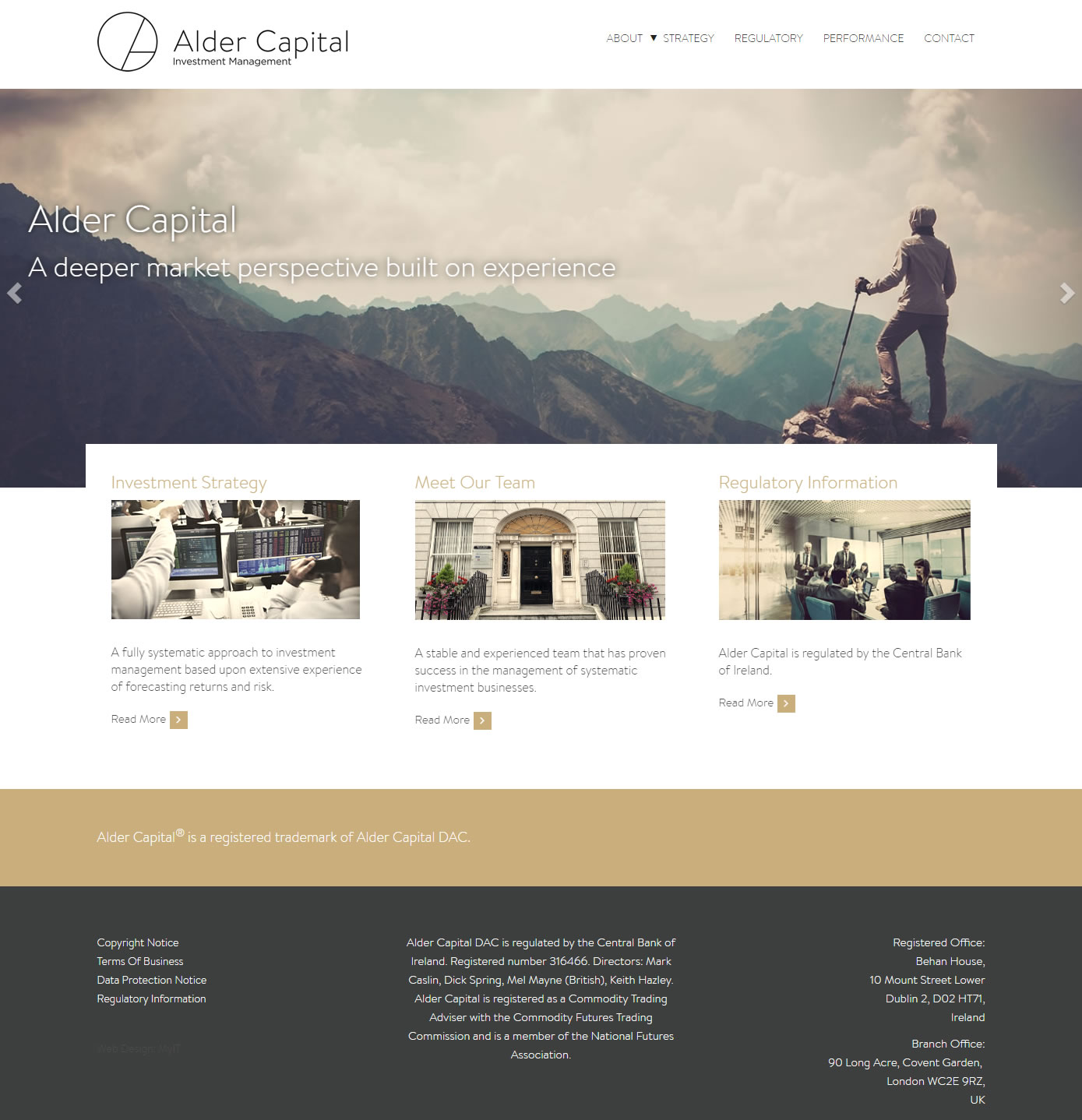 alder capital web design
