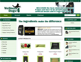 myit web design graphics